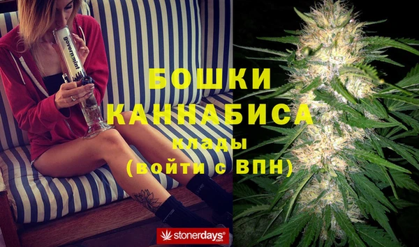 гидра Аркадак