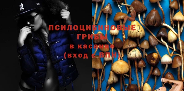 эйфоретик Арсеньев