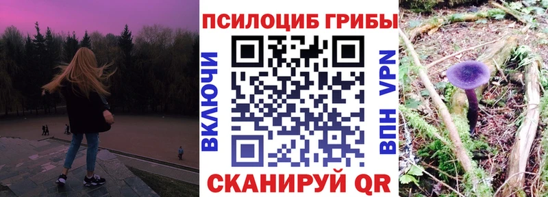 Псилоцибиновые грибы Magic Shrooms  купить закладку  Копейск 